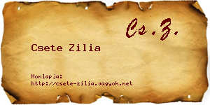 Csete Zilia névjegykártya